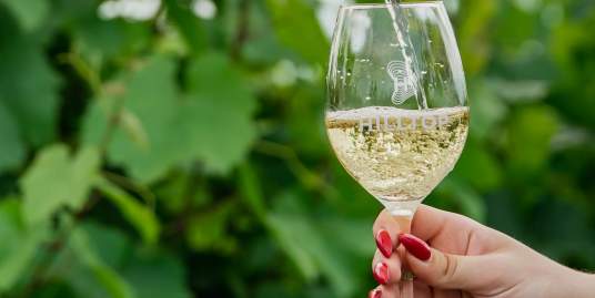 Wine dining: Mindent a fröccsről