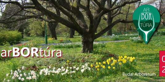 arBORtúra