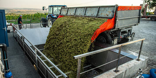 Új szőlőhéj és szőlőmag feldolgozó technológia kifejlesztése antioxidáns és flavonoid hatóanyagok szuperkritikus extrakción alapuló előállítására